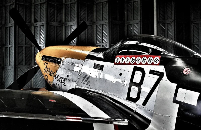 Ferocious B7 by Ian Burton - C (Int)