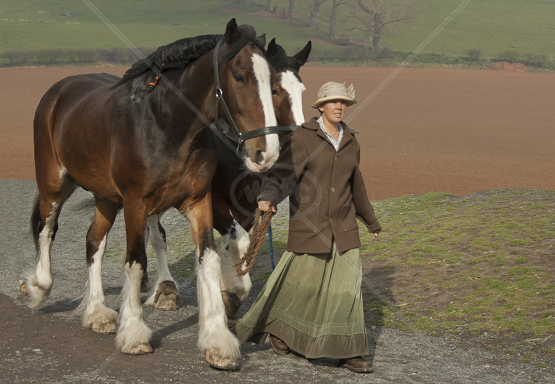  Going Home from the Fields by Peter Hodgkison - 3rd (Int col) 