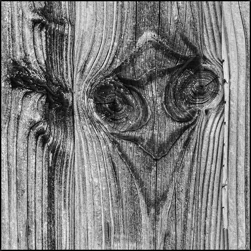Heres Looking at You by Ian Griffiths - HC (Int mono)