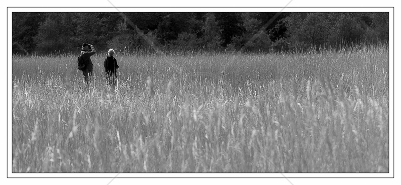 Lost by Janet Griffiths - C (Adv mono)
