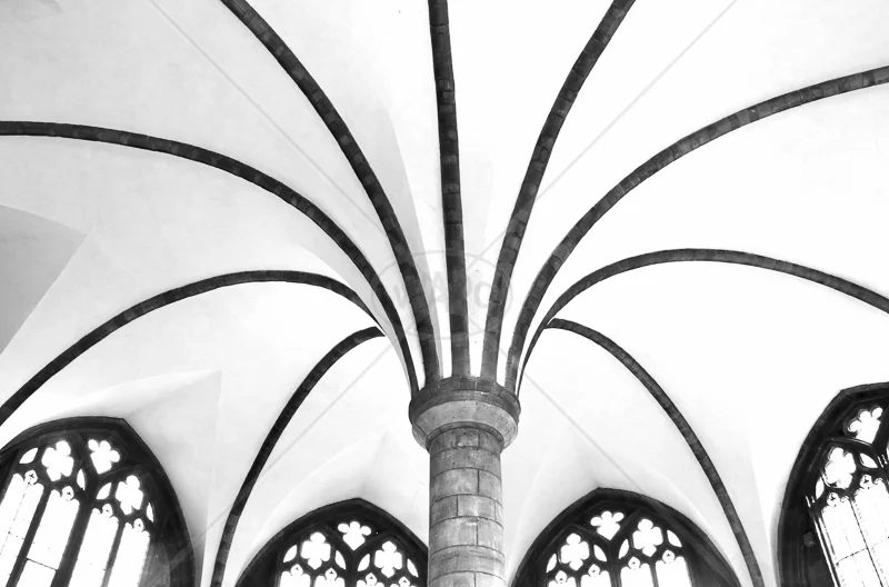 Chapterhouse Ceiling,worcester Cathedral by Peter Hodgkison - 2nd (Int mono)