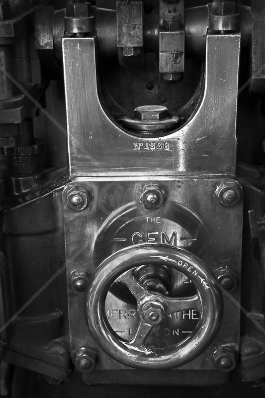 Detail of Merryweather Steam Powered Fire Engine by Peter Hodgkison - 1st (Int mono)