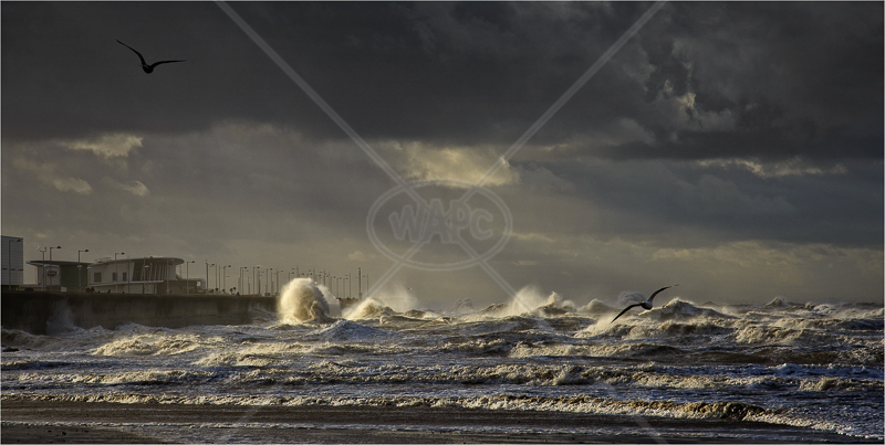  New Brighton Seascape by Tony Thomas - C (Adv) 