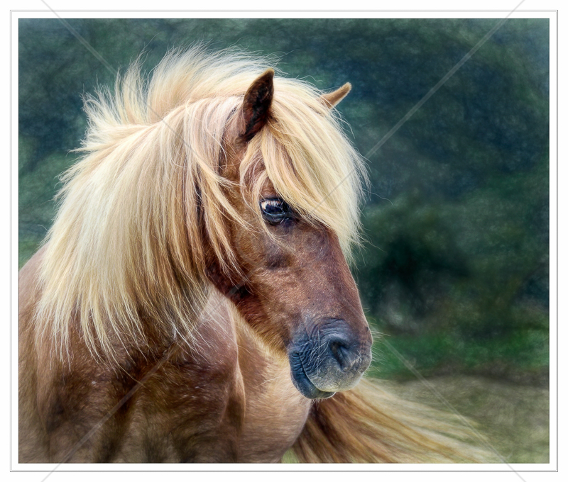 Hair by Sassoon by Calvin Downes - C (Adv)