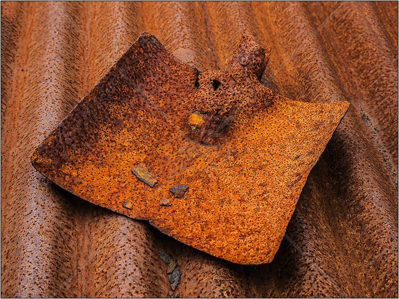  Rusty Shovel by Ian Griffiths - C (Int) 