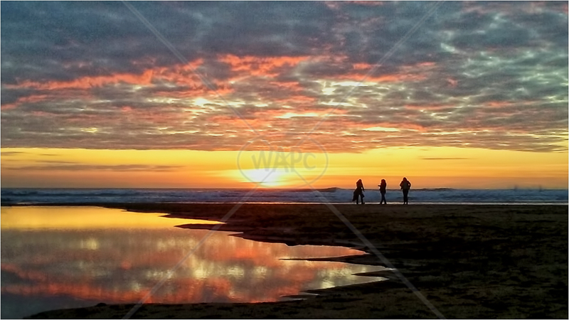 Seaside Reflection by Norman O'Neill - 2nd
