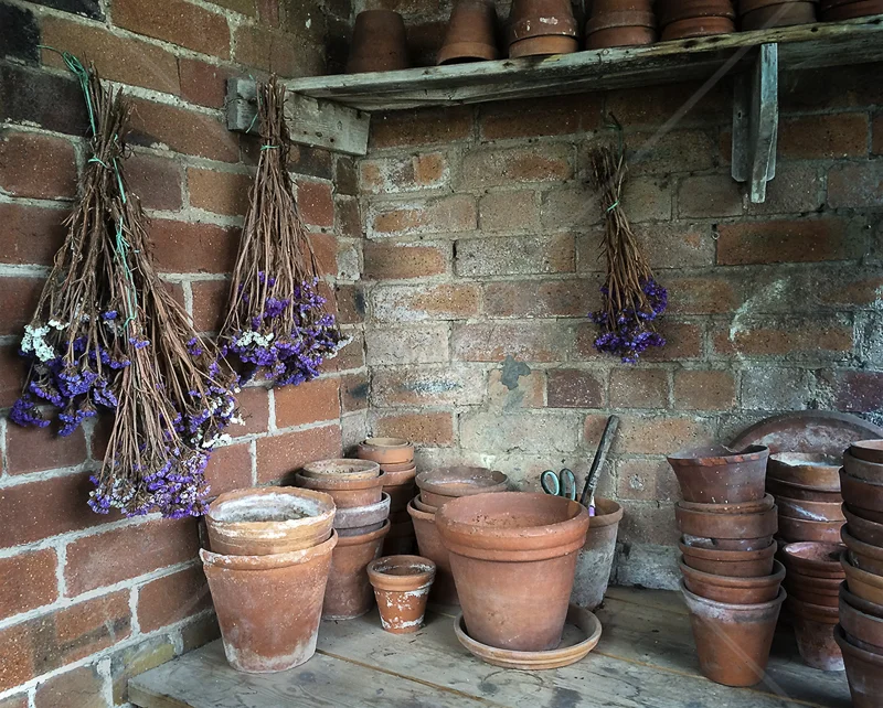 The Old Potting Shed by Carole Mathews - HC