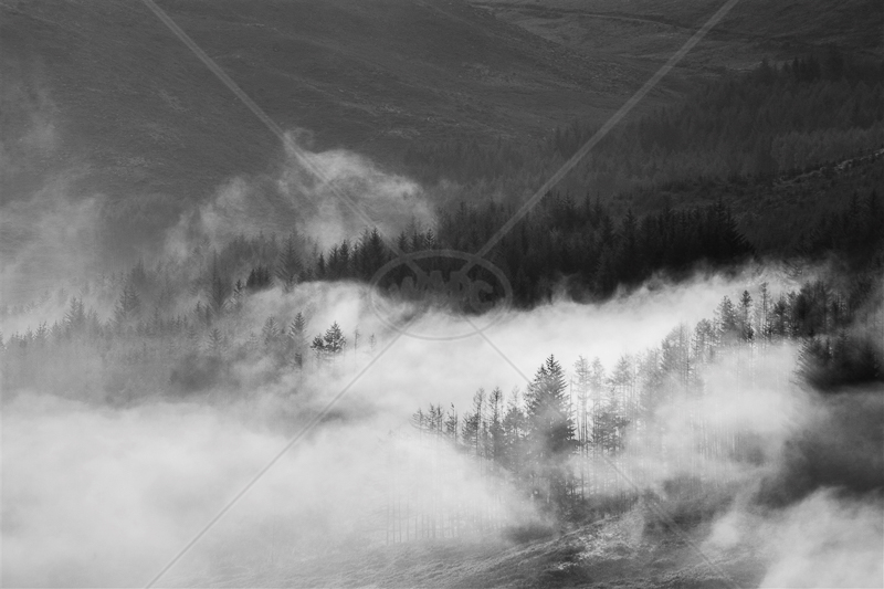  Glen Trool Mist by Tim Growcott - C (Adv mono) 