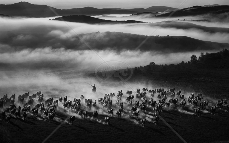 RPS Gold medal Best landscape (mono) - "Galloping on Air" by Yongan Gan 