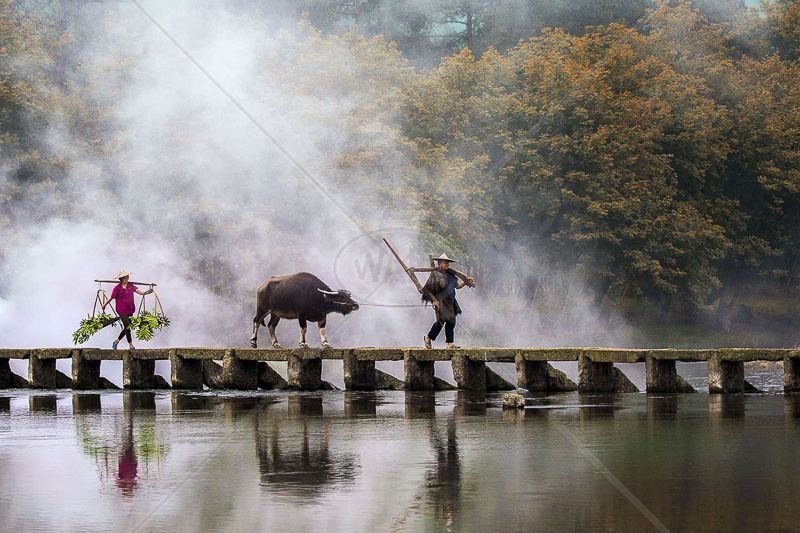  FIAP Gold medal Best in show (Trav) - "Old Stone Bridge Aver" by Yongxiong Ling 