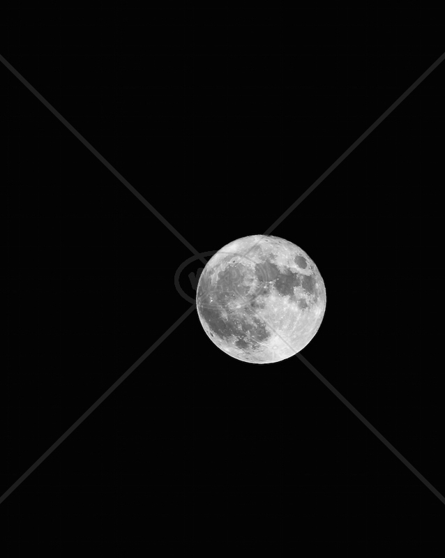  Full Moon by Sharon Leighton - C (Int) 