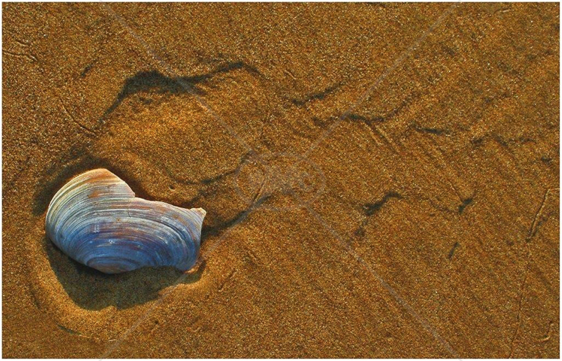  Sand Art by Alex Woodfine - 2nd (Int) 