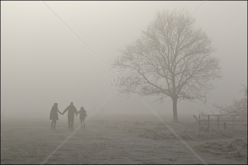 Hand in Hand by Peter Hodgkison - 1st (INT col)