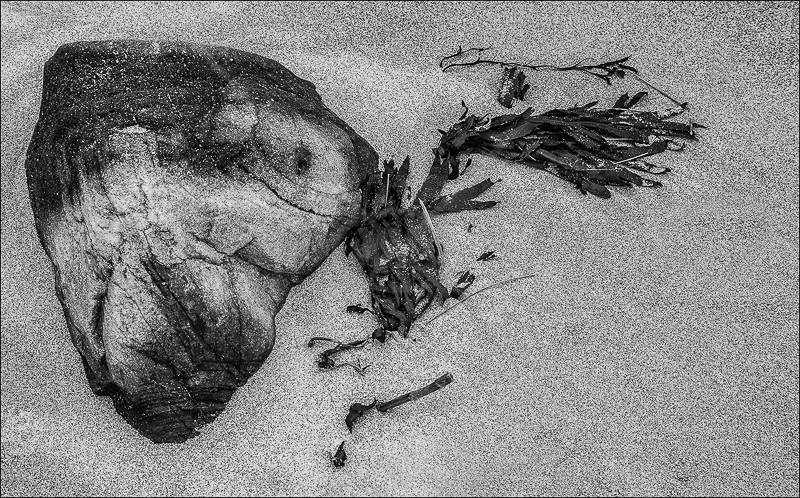  Fish Head Rock and Seaweed by Ian Griffiths - 1st (INT mono) 