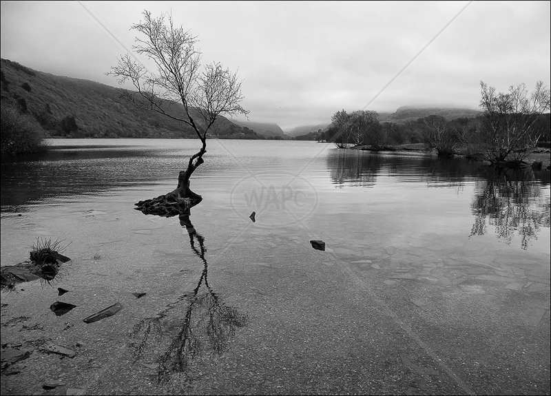 Llyn Padarn by Ian Griffiths - HC (INT mono)