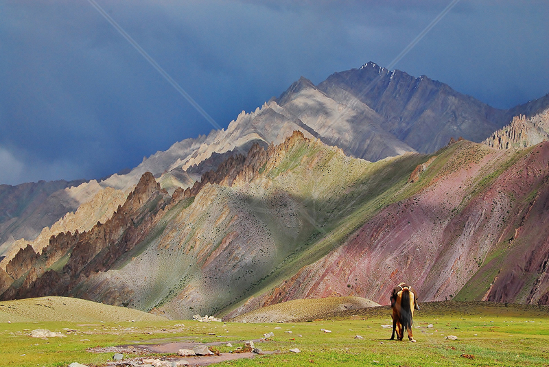  Gathering Storm-Ladakh-India by Andy Udall - C (PDI) 