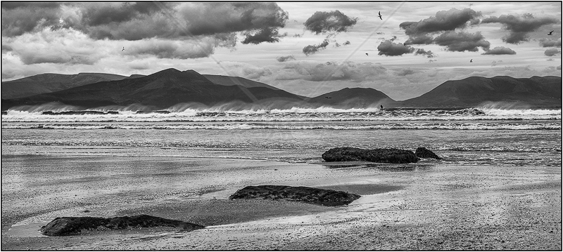  Windy Day at the Beach by Ian Griffiths - 1st (Int mono) 