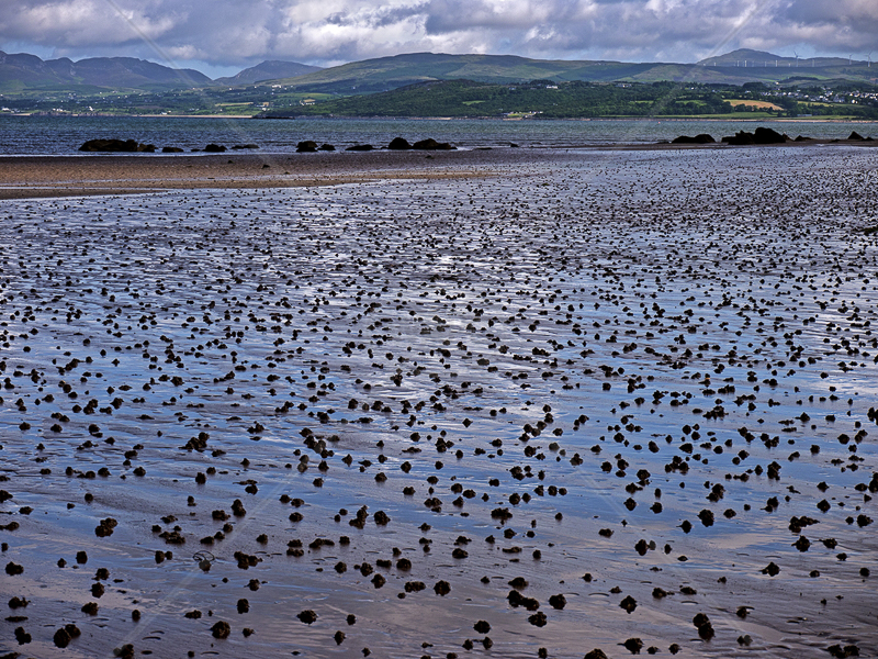 Lugworm Casts at Buncrana by Gerry Froy - C (Int)