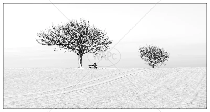 Alone by Janet Griffiths - C (Adv mono)