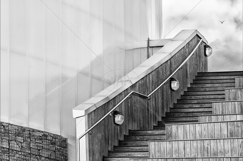 Going Up by Irene Froy - HC (Adv mono)