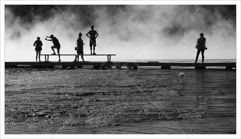 Silhouettes by Janet Griffiths - 2nd (Adv mono)