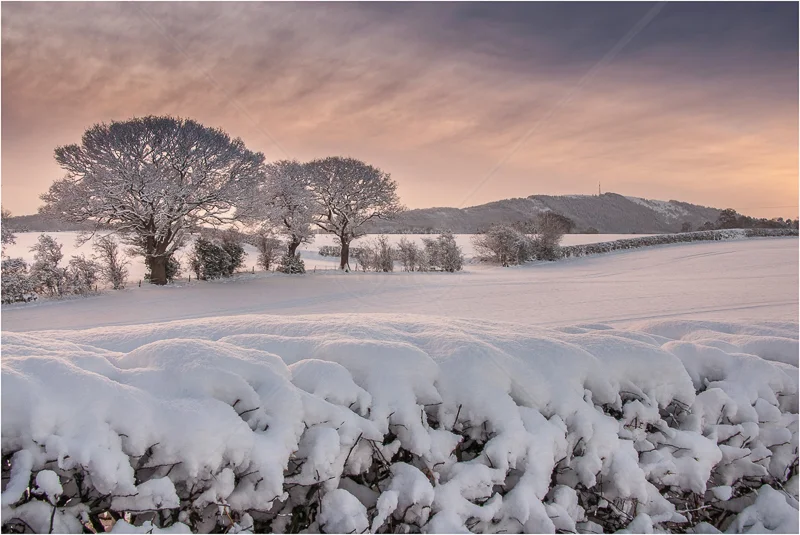 Snow Fields, Admaston, Telford by Andy Udall - 3rd (PDI)