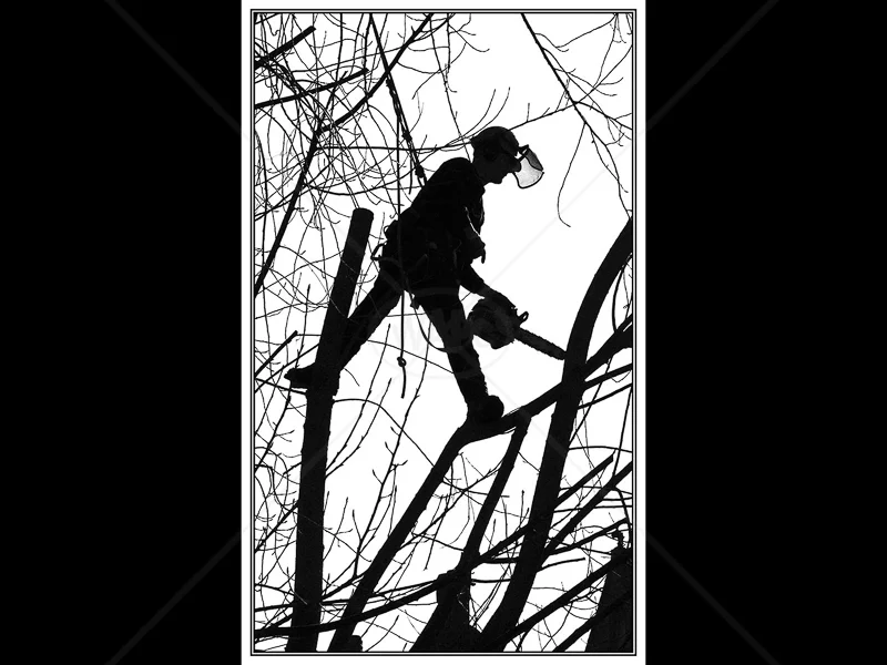 Arborial Man by Ruth Holden - 2nd (Int mono)