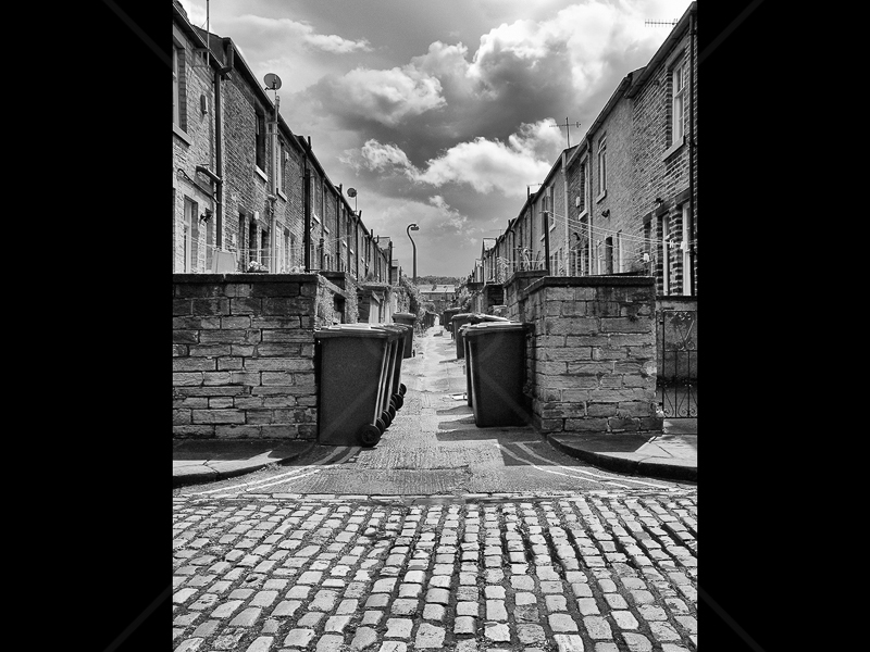 Alley Cat by Howard Holden - C (Int mono)