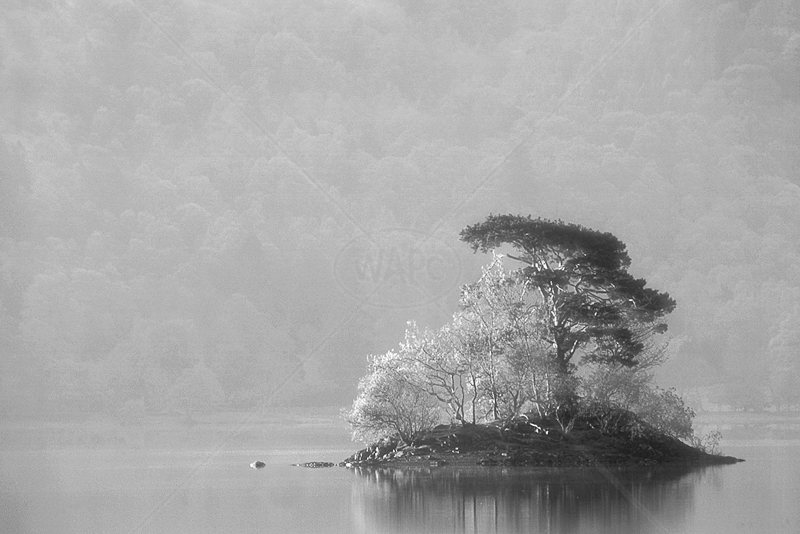  Derwent Island by Irene Froy - 1st (Adv mono) 