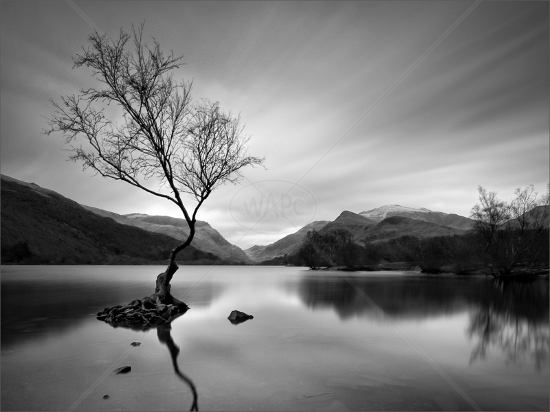 Padarn Movement by Hugh Stanton - 2nd (Adv mono)