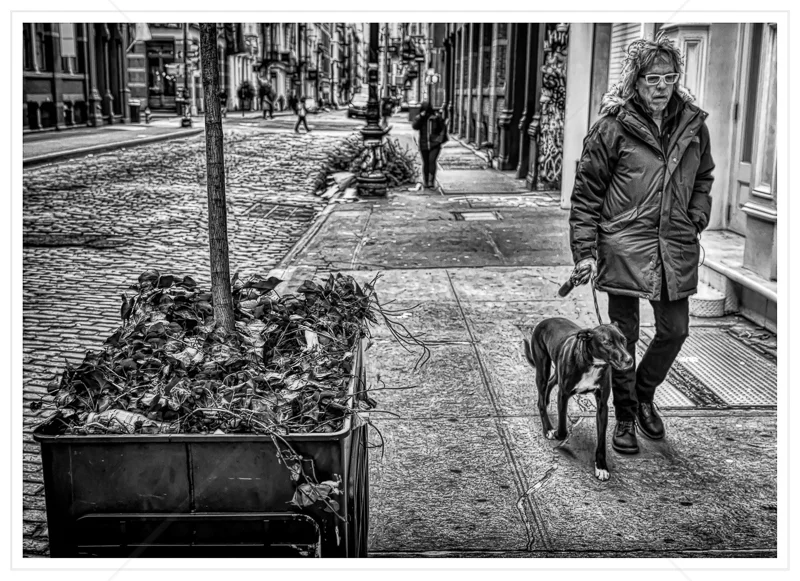 New York Dog Walking by Calvin Downes - C (Adv mono)