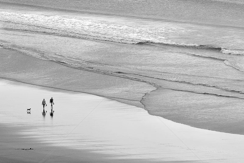 Walking the Dog by Irene Froy - C (Adv mono)