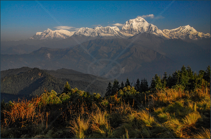  Dhaulagiri from Poon Hill, Annapurna, Nepal by Andy Udall - 2nd (Int) 