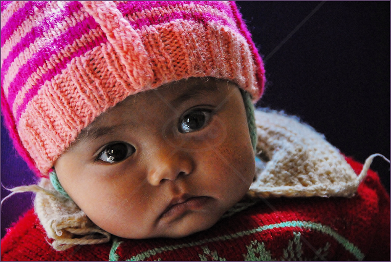  Little Munchkin, Ladakh, India by Andy Udall - C (Int) 