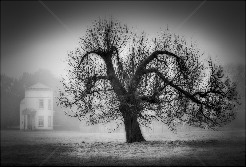  Foggy Morning by Carole Mathews - HC (Adv mono) 