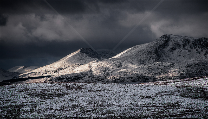 A Splash of Sunlight by Tony Thomas - Print - C