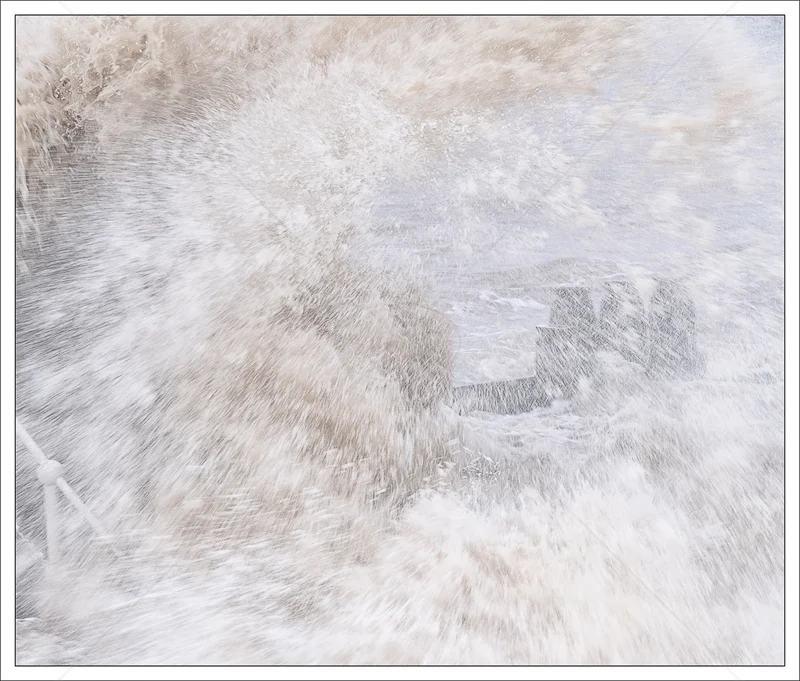 Splash by Janet Griffiths - Print - 2nd