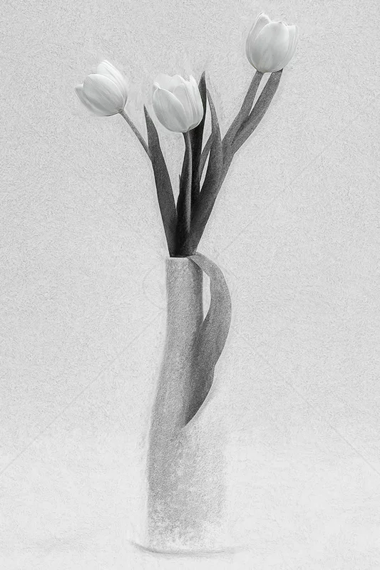 Simply Tulips by Norman O'Neill - ADV MONO - 2nd