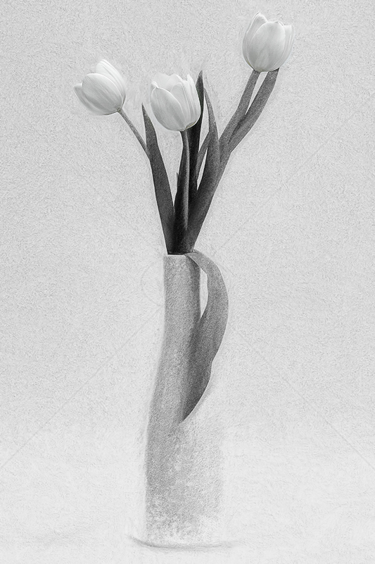  Simply Tulips by Norman O'Neill - HC (Adv Mono) 