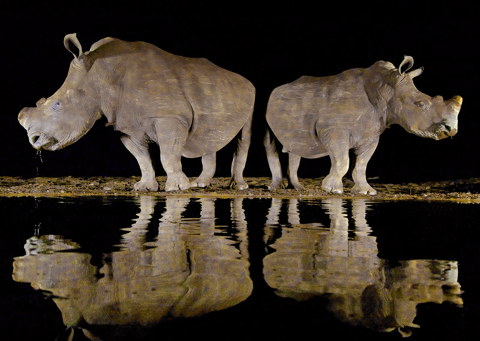 'Out of Africa' an online talk with Keith Snell,LRPS,EFIAP,EPSA