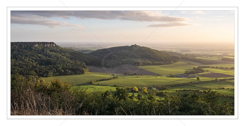  Evening Light Sutton Bank by Janet Griffiths - C (Print) 