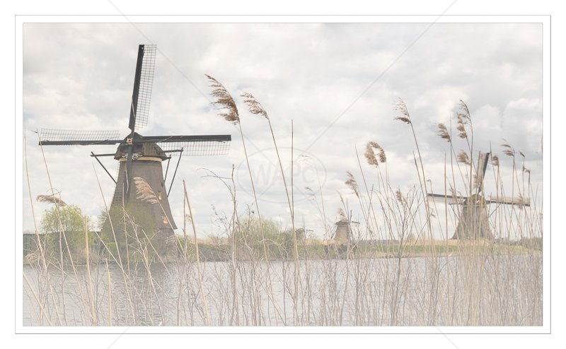  Kinderdjik Windmills by Janet Griffiths - HC (Adv col) 