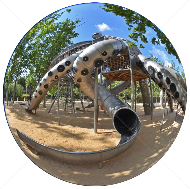  Octopus in the Playground by Ken Mayor - 1st (Int col) 