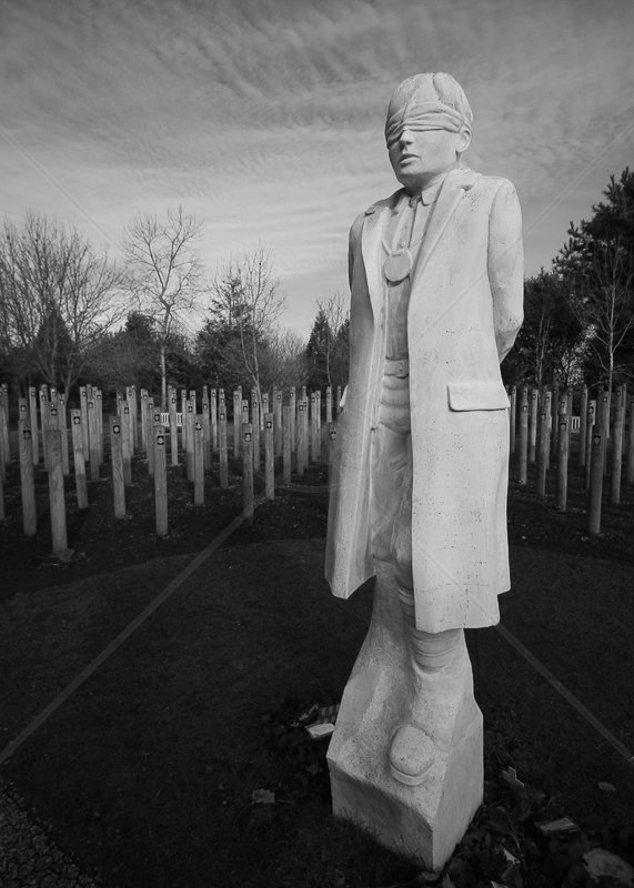  Shot at Dawn Memorial by Ian Burton - HC (Int mono) 