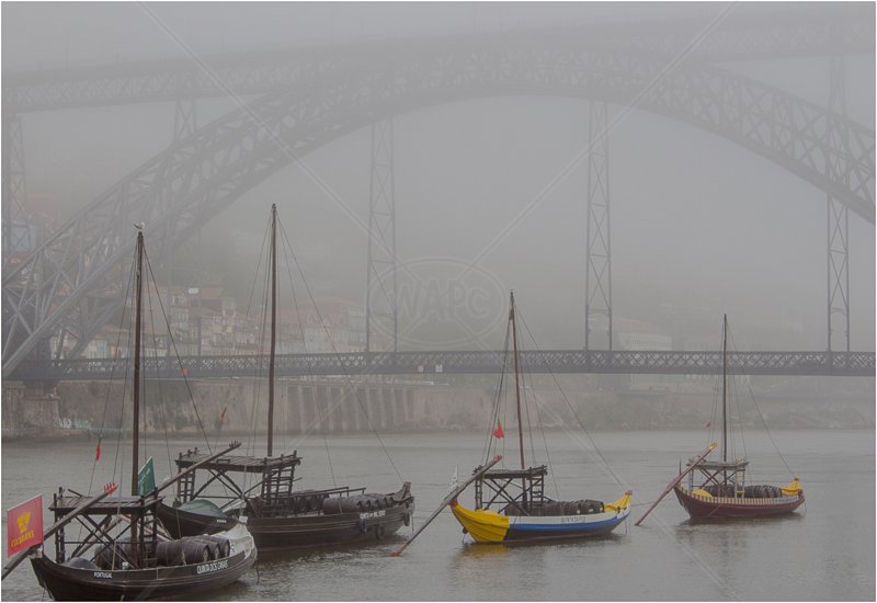  Luis I Bridge in the Mist by David Prestwood - C (Int) 