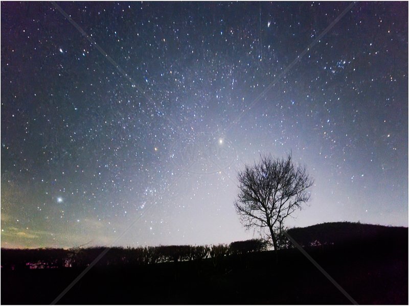 Starry Night by Tim Growcott - C