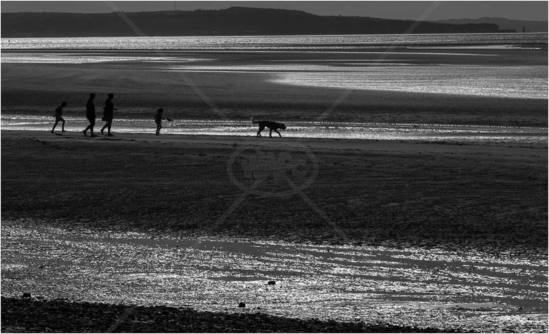 Family Evening Stroll by David Prestwood - HC ((Int PDI finals)