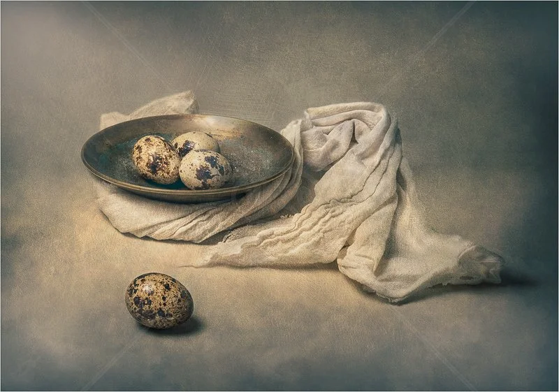 Still Life with Quails Eggs by Jayne Mapp - 1st (Adv Col Print Finals)