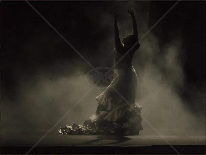 Dancer-in-The-Mist by Andy Yardley - C (Int)
