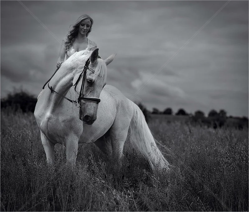 Field of Dreams by Andy Brooks - C (Adv)